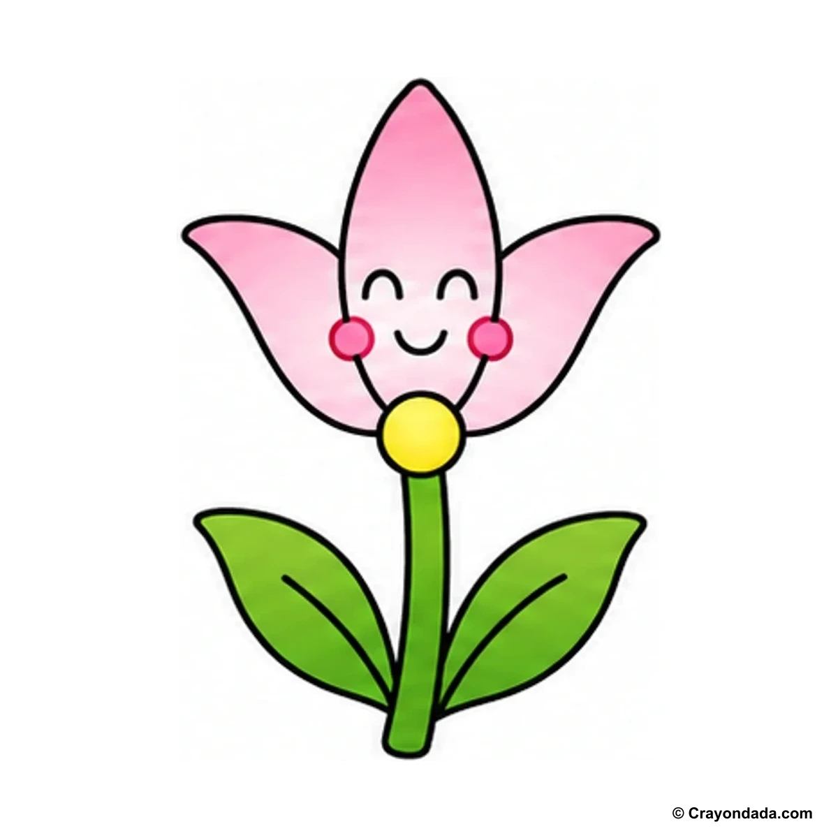 How to Draw a Lily finished drawing