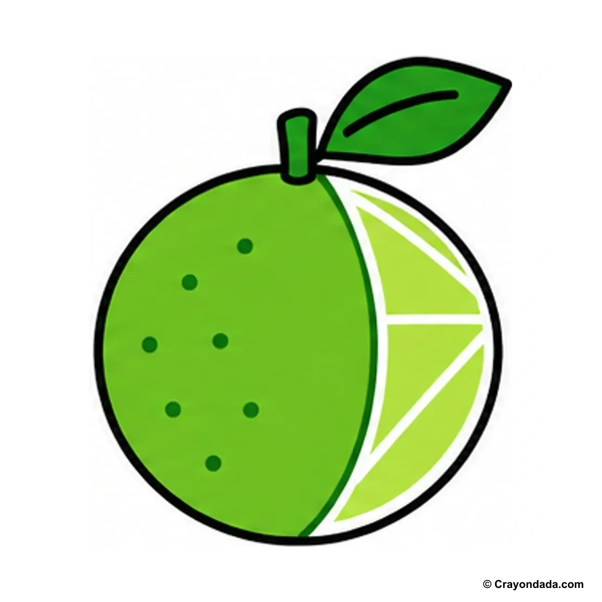 How to Draw a Lime finished drawing