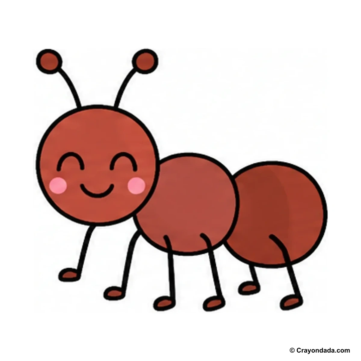 How to Draw a Little Ant finished drawing