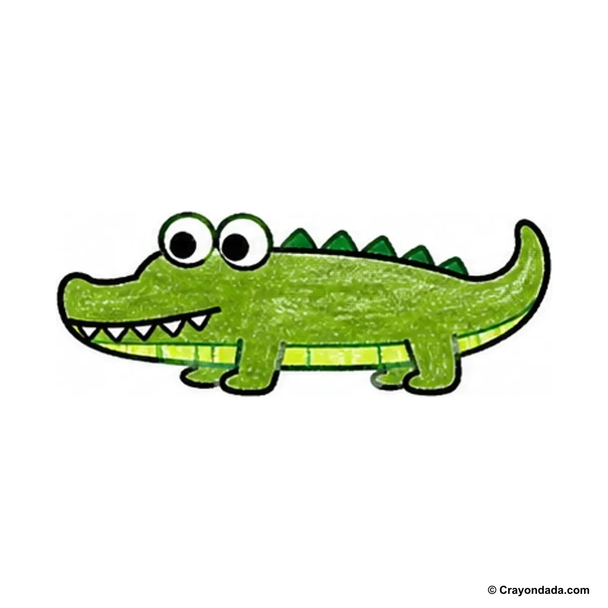 How to Draw a Little Crocodile finished drawing