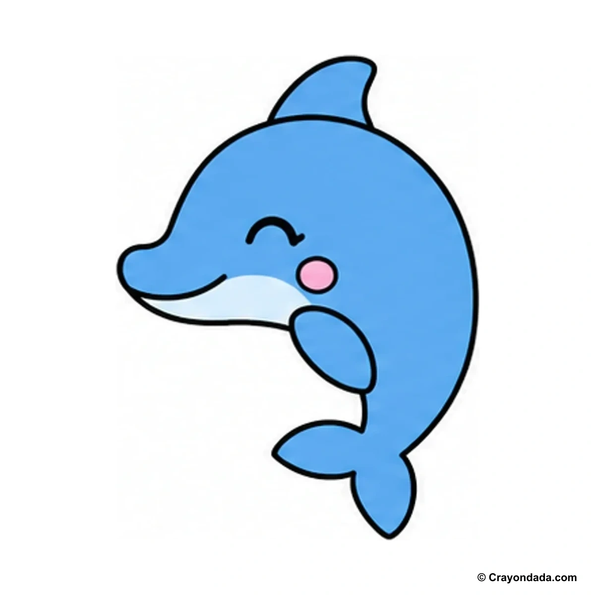 How to Draw a Little Dolphin finished drawing