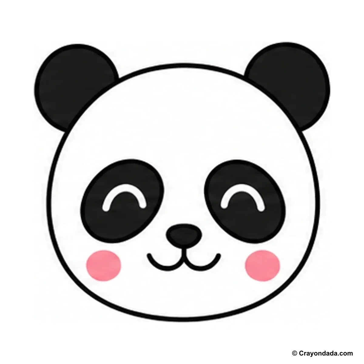 How to Draw a Little Panda Face finished drawing