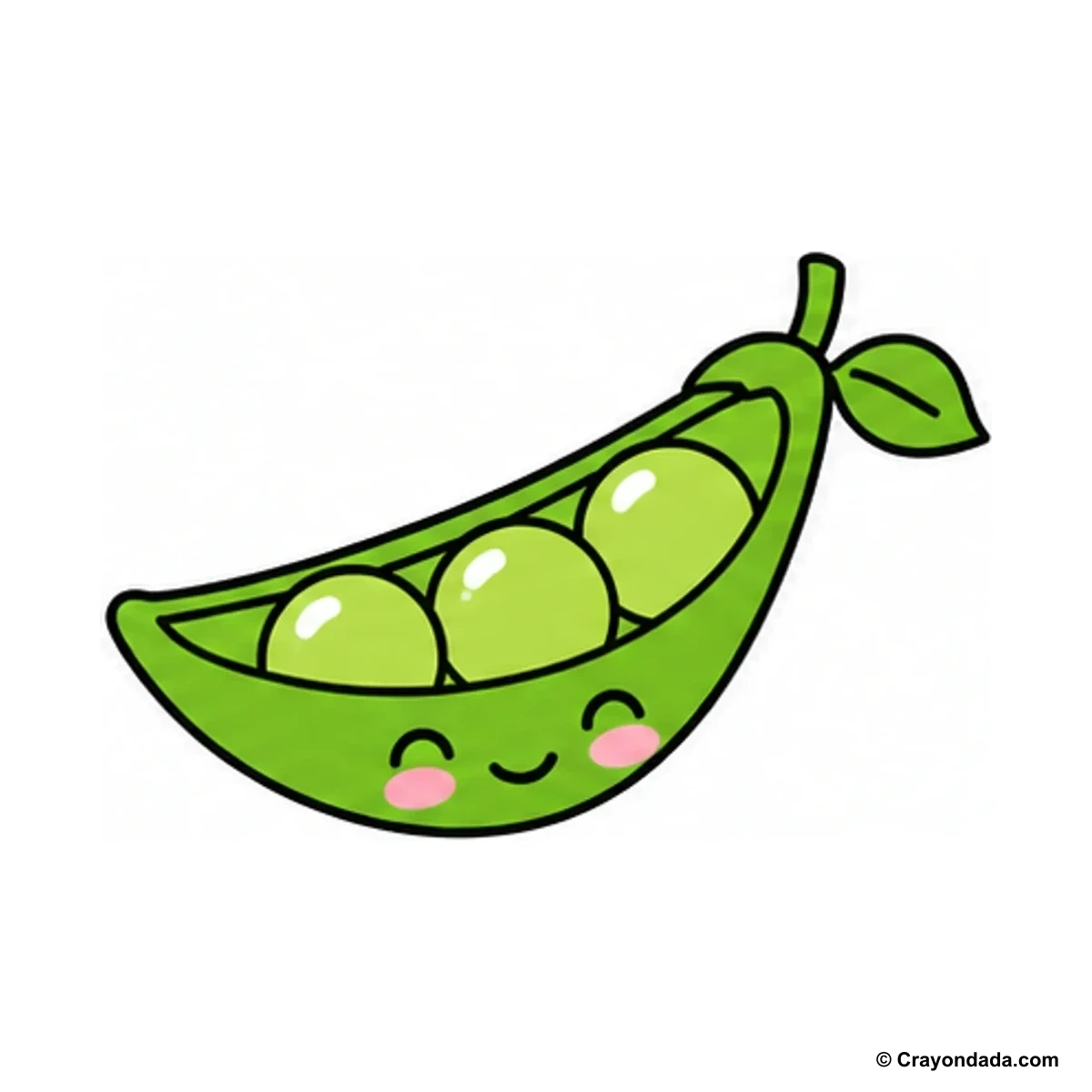 How to Draw a Little Pea Pod finished drawing