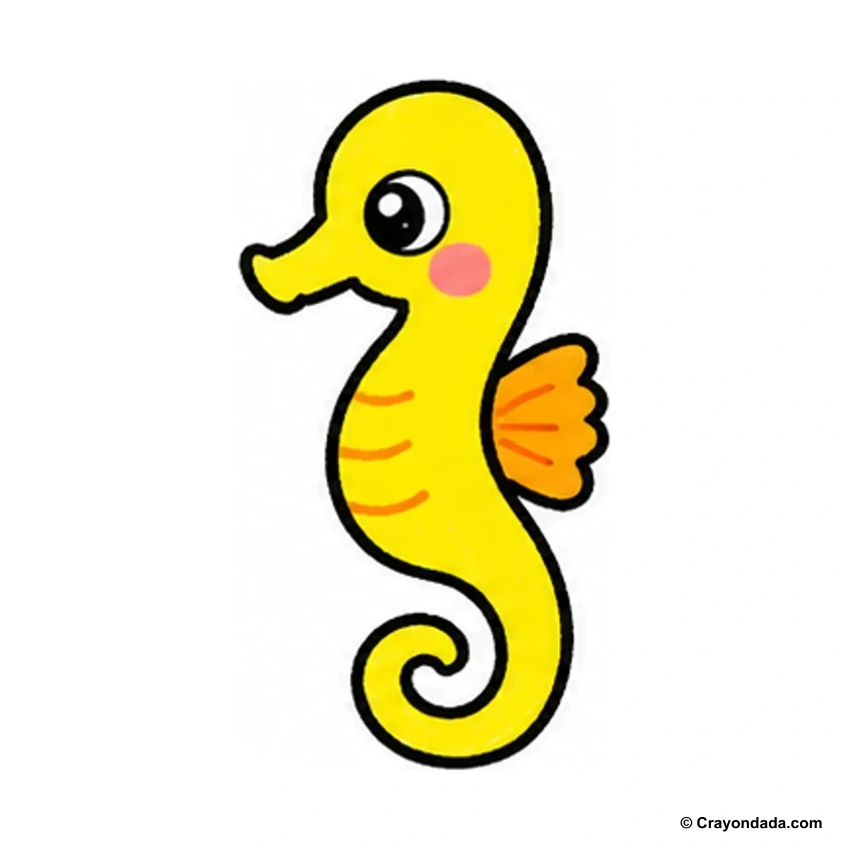 How to Draw a Little Seahorse finished drawing