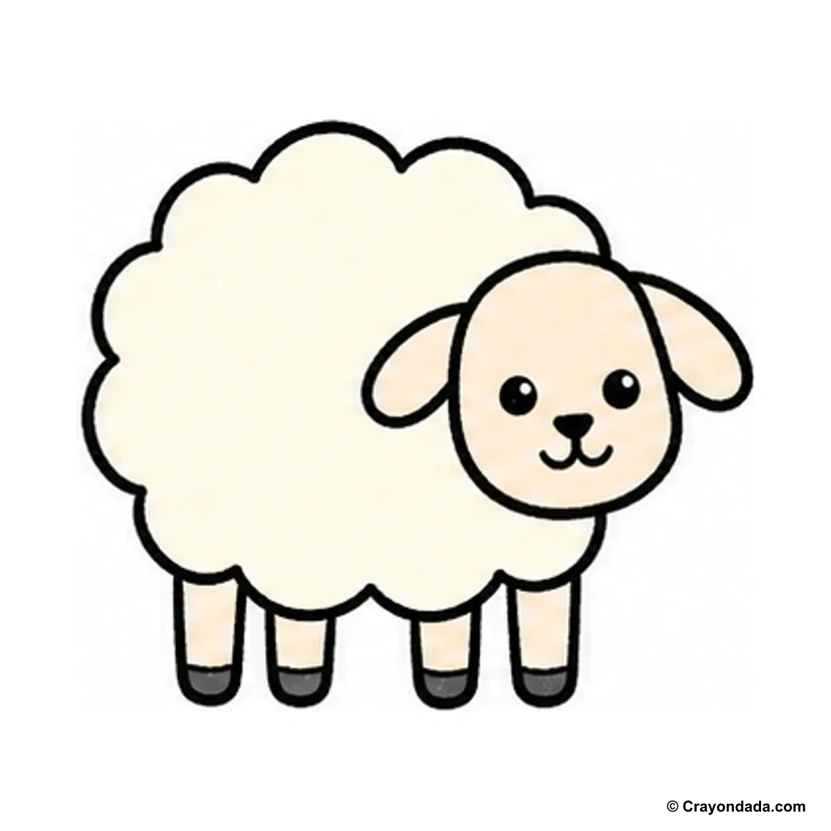 How to Draw a Little Sheep finished drawing
