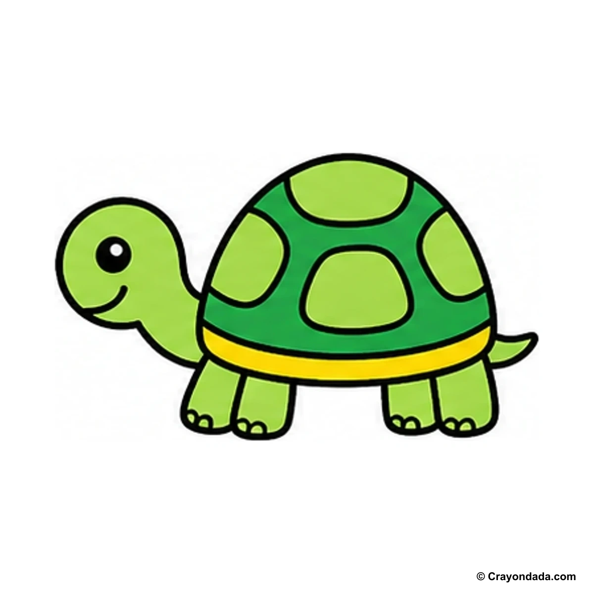 How to Draw a Little Turtle finished drawing