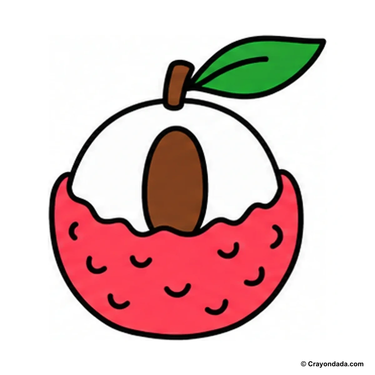 How to Draw a Lychee finished drawing