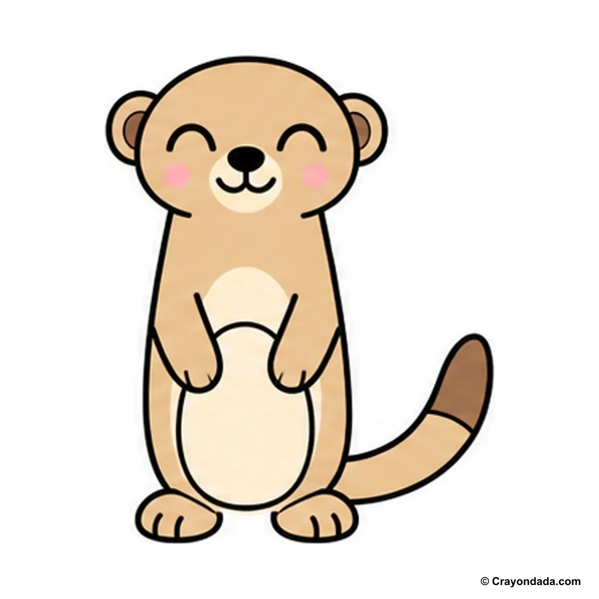 How to Draw a Meerkat finished drawing
