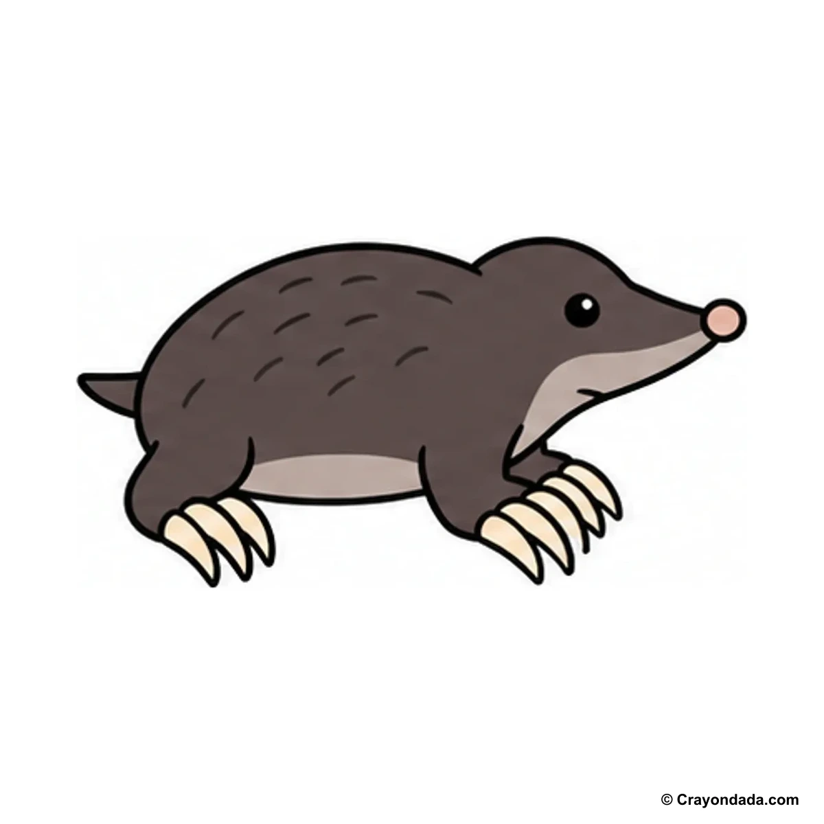 How to Draw a Mole finished drawing