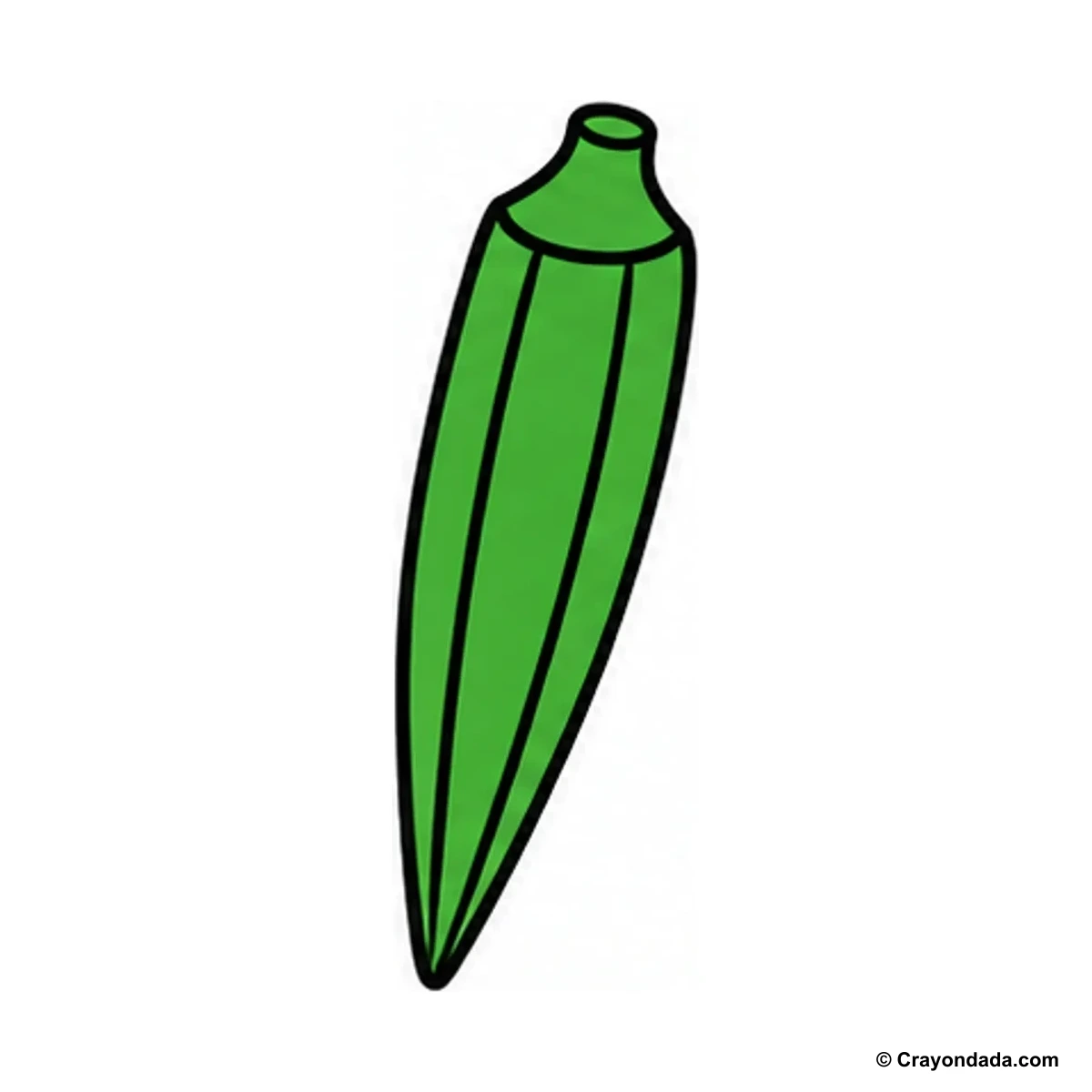 How to Draw Okra finished drawing