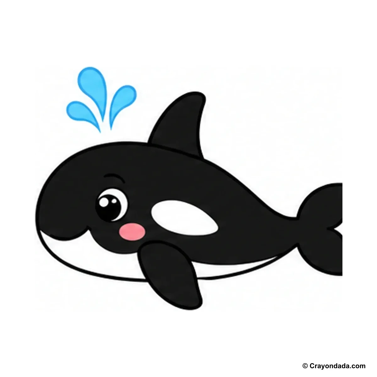 How to Draw an Orca finished drawing