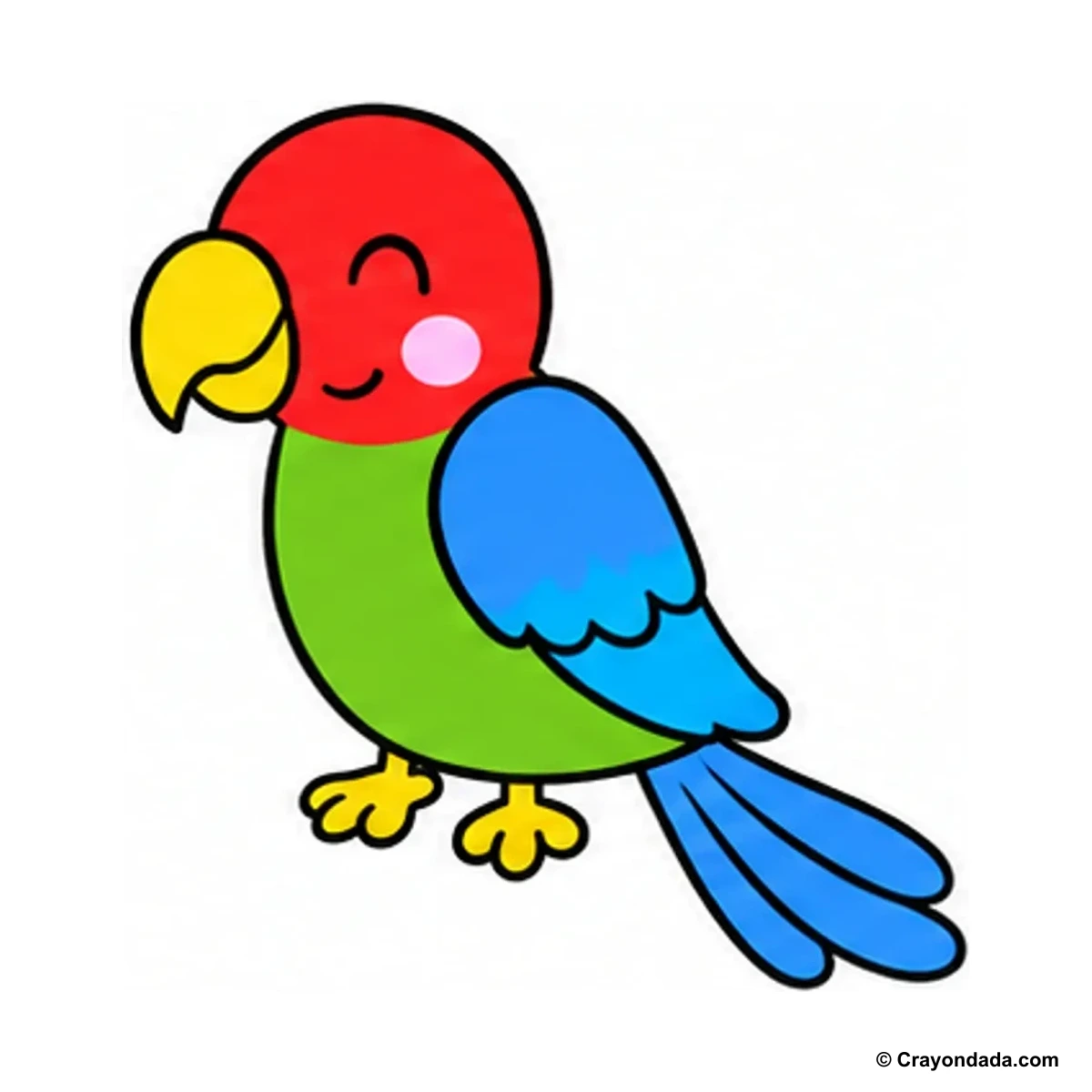 How to Draw a Parrot finished drawing