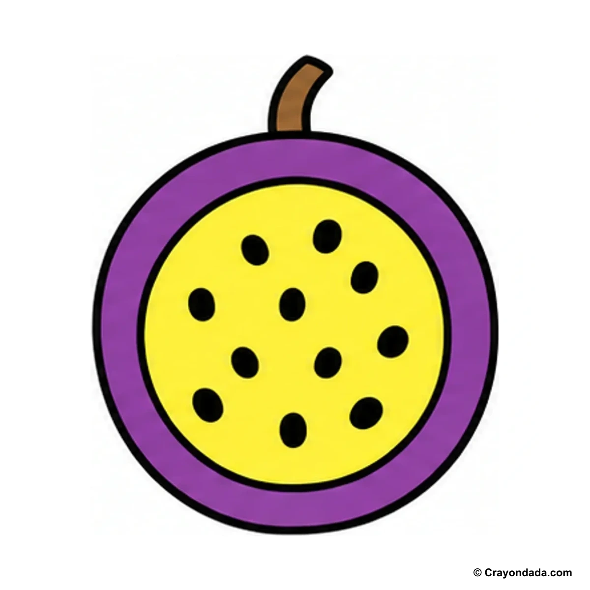 How to Draw a Passion Fruit finished drawing