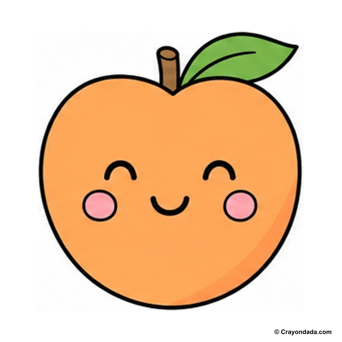 How to Draw a Peach finished drawing