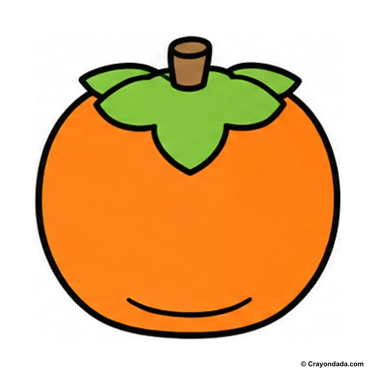 How to Draw a Persimmon finished drawing