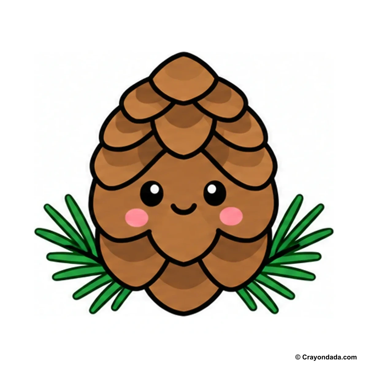 How to Draw a Pine Cone finished drawing