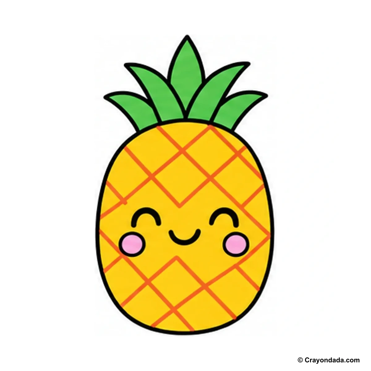 How to Draw a Pineapple finished drawing