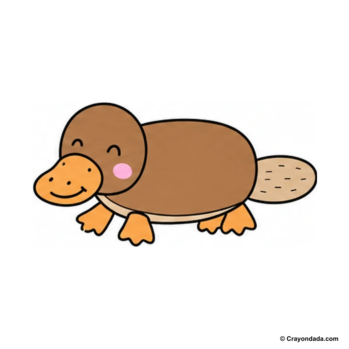How to Draw a Platypus finished drawing