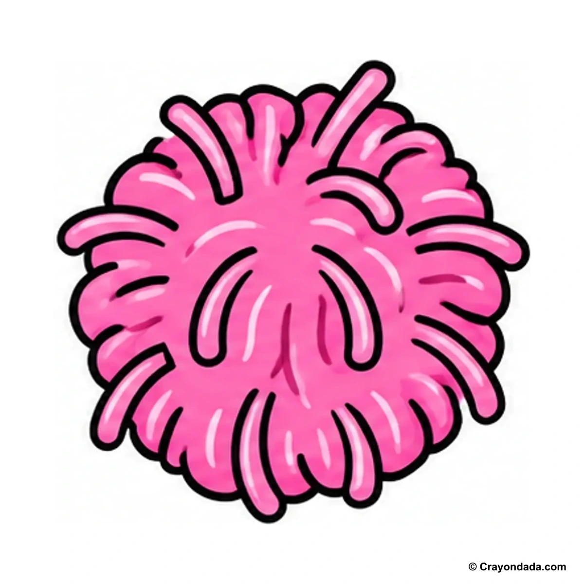 How to Draw a Pom-Pom finished drawing