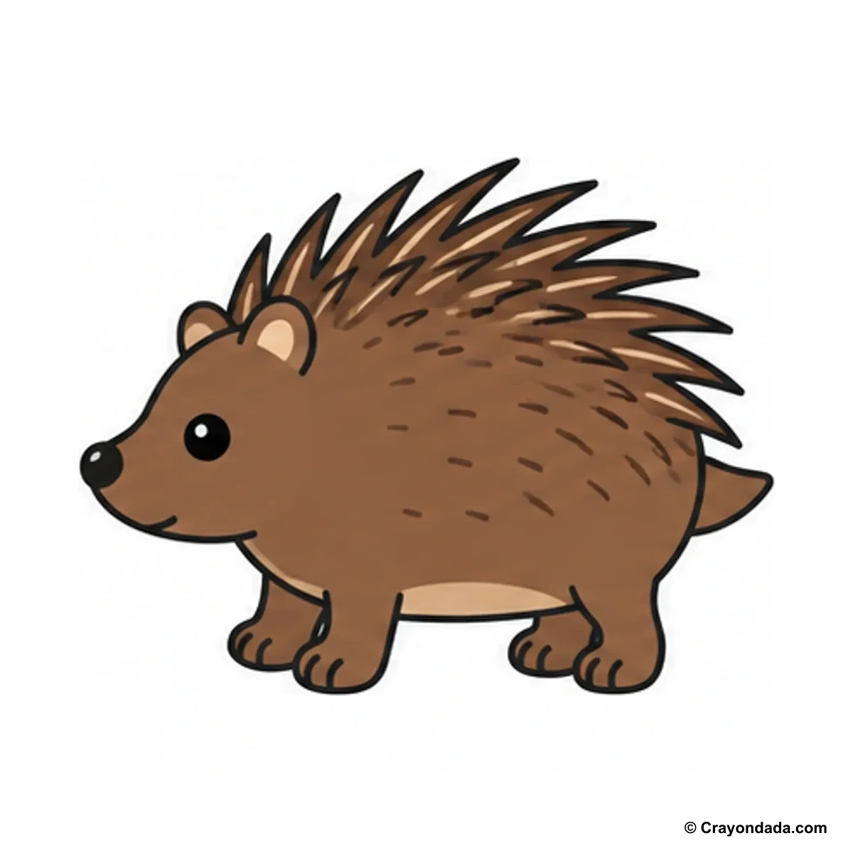 How to Draw a Porcupine finished drawing