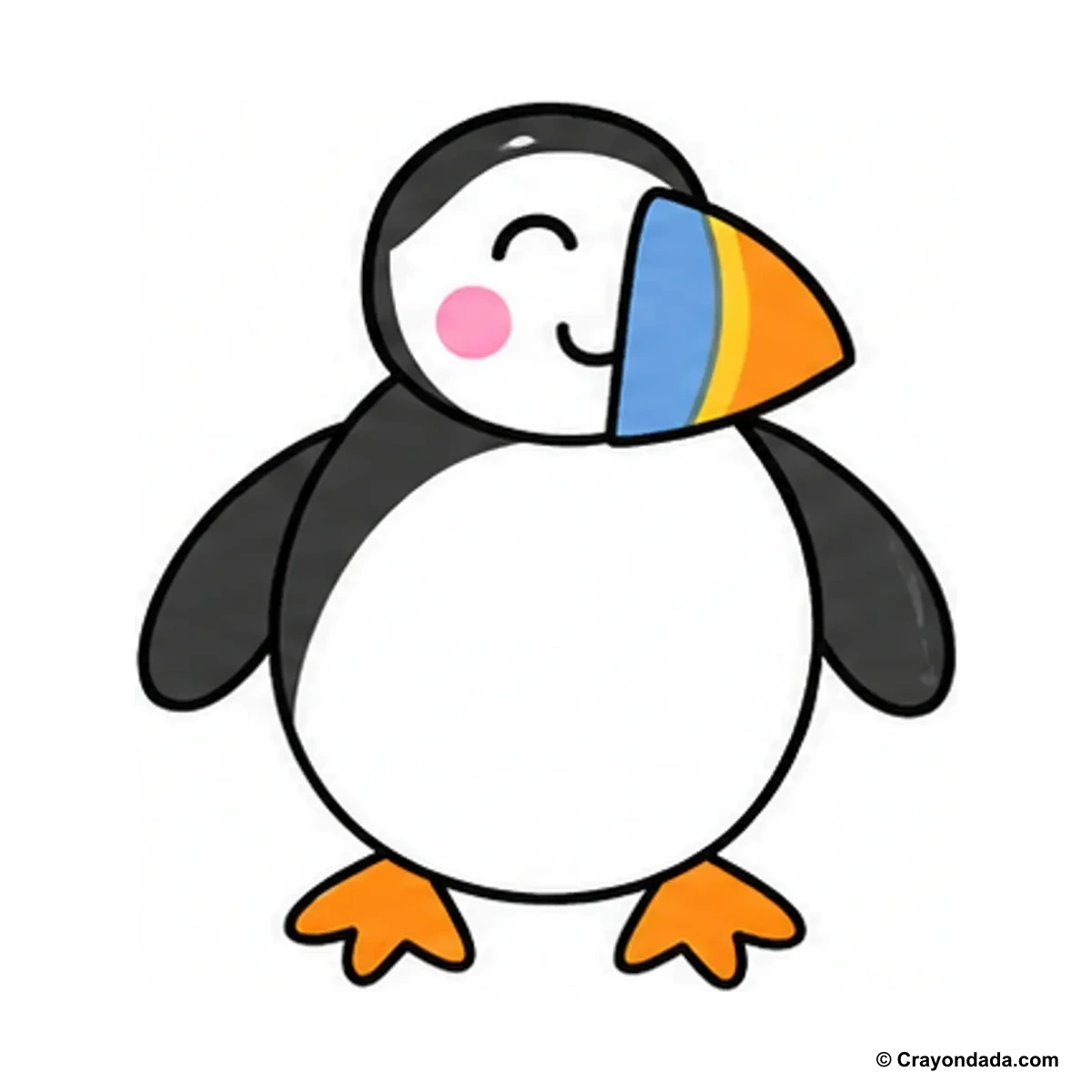 How to Draw a Puffin finished drawing