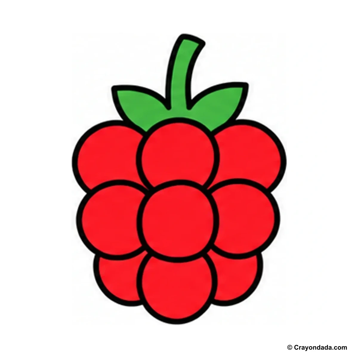 How to Draw a Raspberry finished drawing