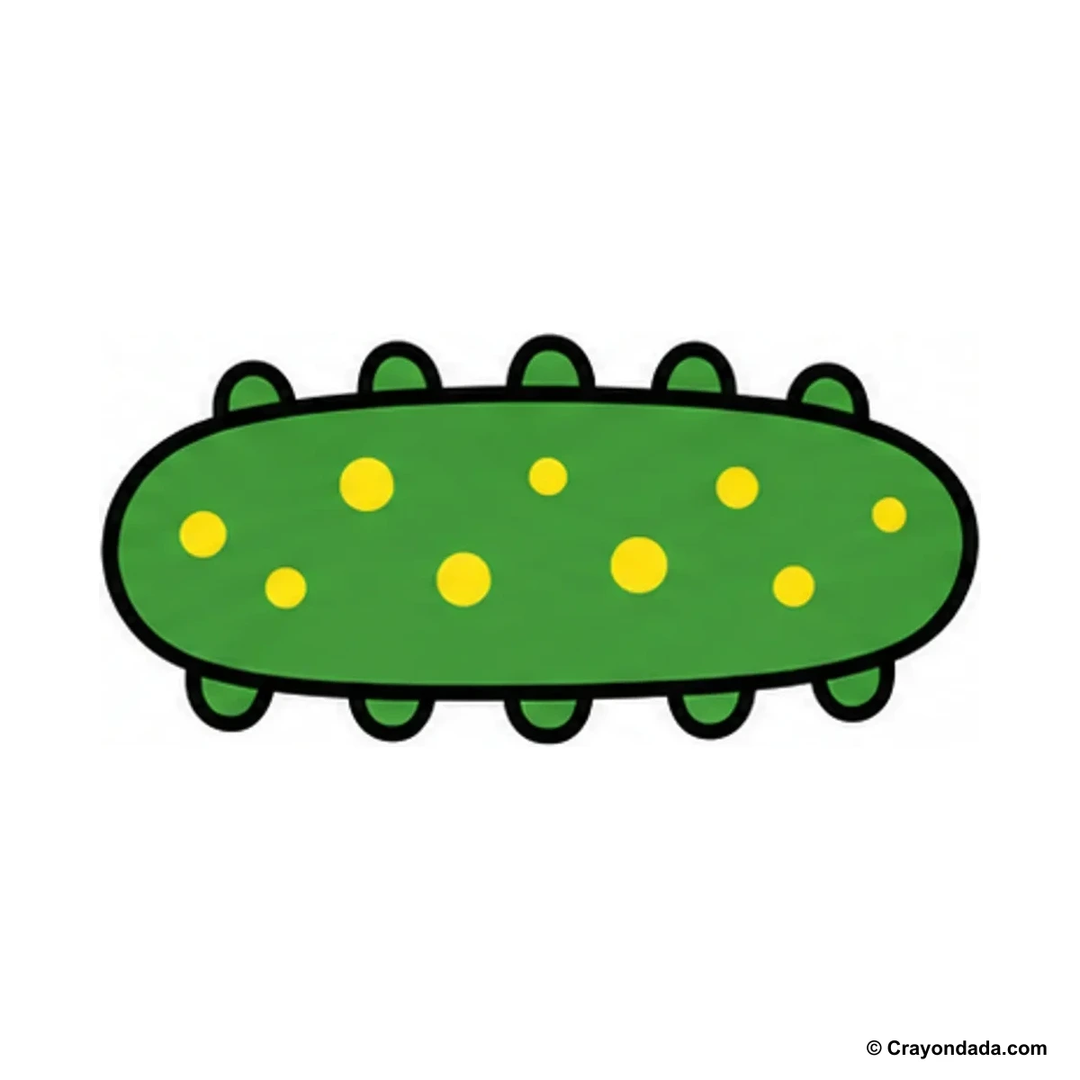 How to Draw a Sea Cucumber finished drawing