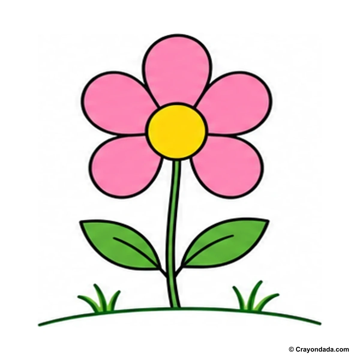 How to Draw a Simple Flower finished drawing