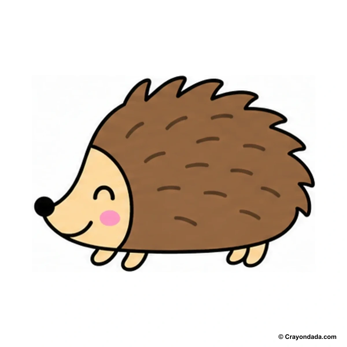 How to Draw a Simple Hedgehog finished drawing
