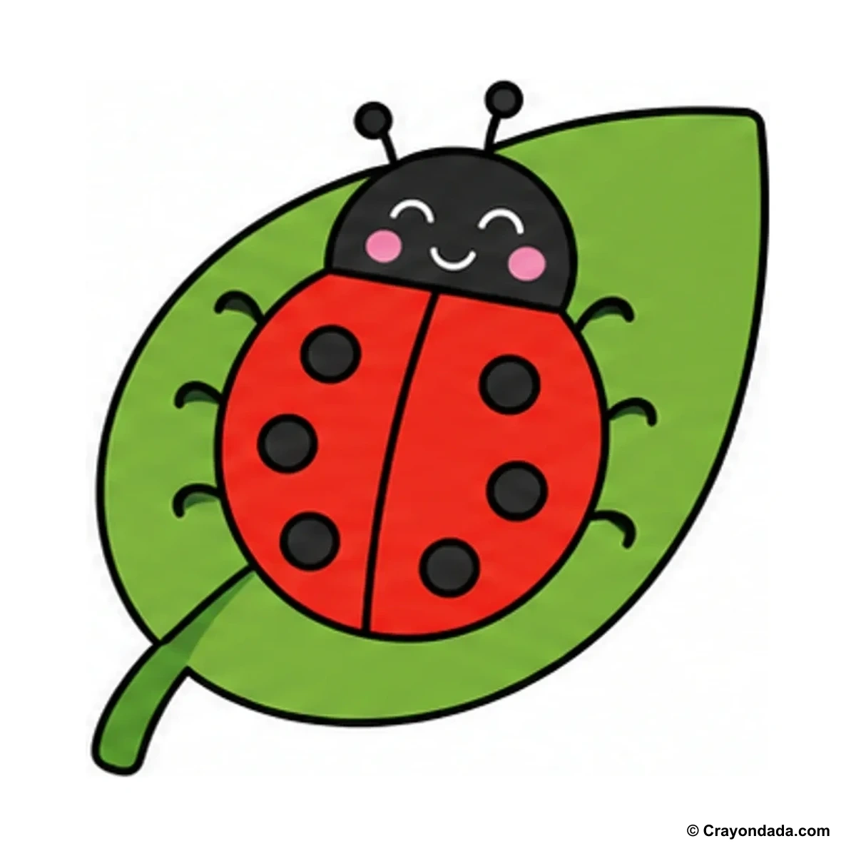How to Draw a Simple Ladybug Leaf finished drawing