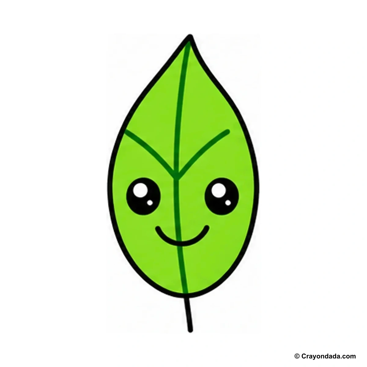 How to Draw a Simple Leaf finished drawing