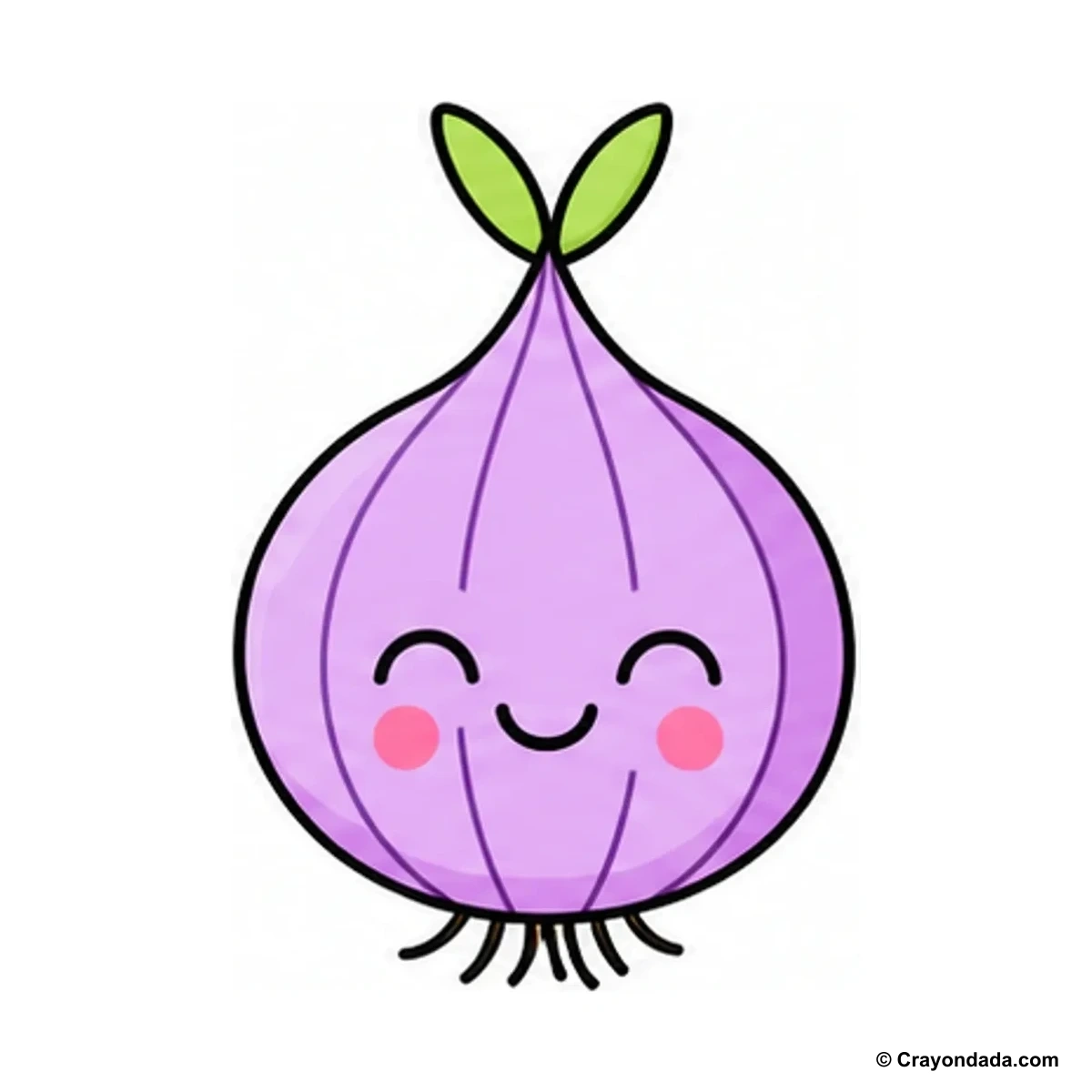 How to Draw a Simple Onion finished drawing