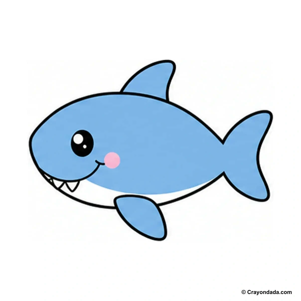 How to Draw a Simple Shark finished drawing
