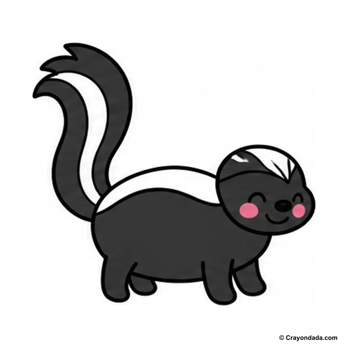 How to Draw a Simple Skunk finished drawing