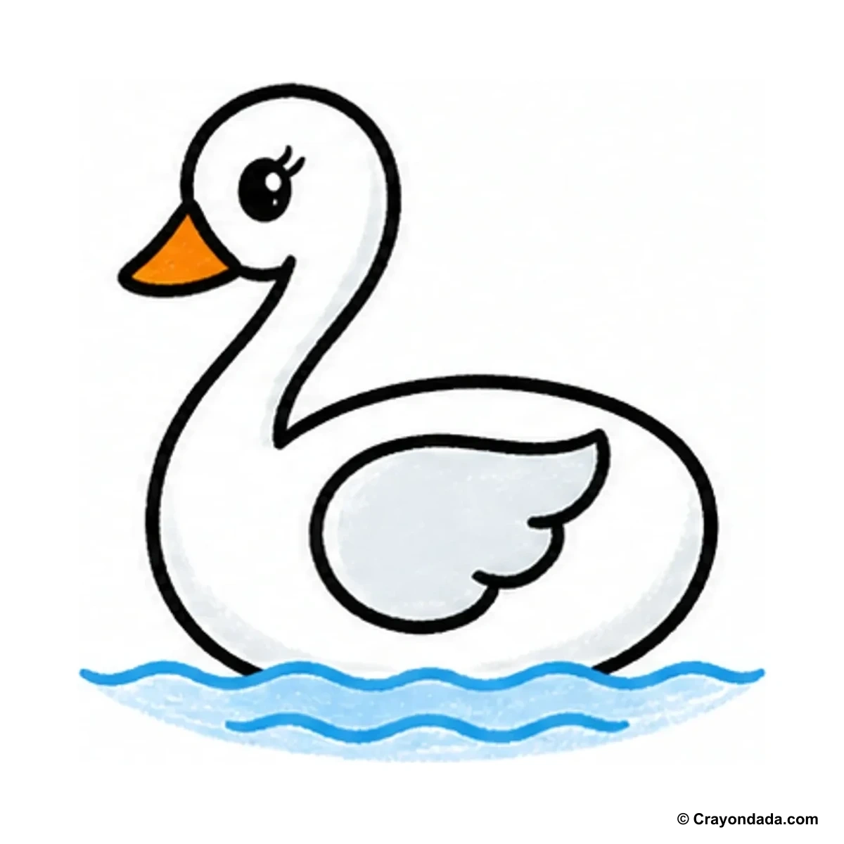 How to Draw a Simple Swan finished drawing