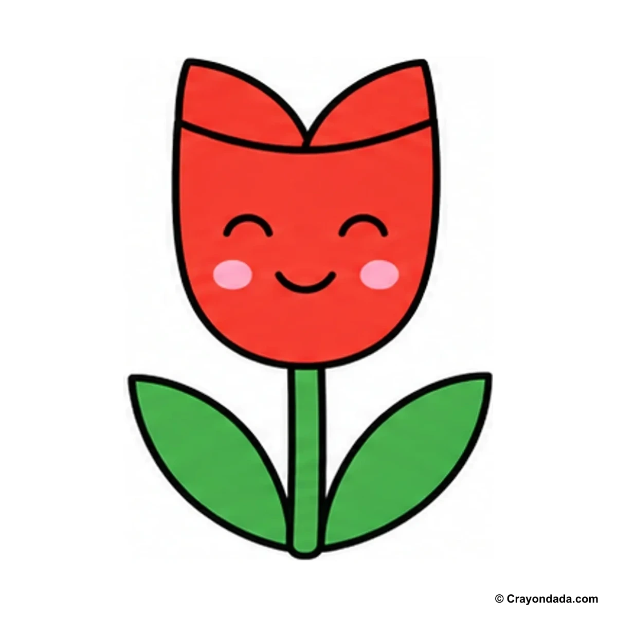 How to Draw a Simple Tulip finished drawing