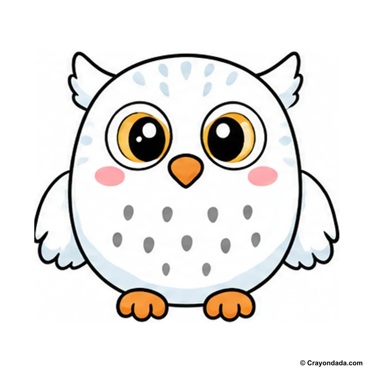 How to Draw a Snowy Owl finished drawing