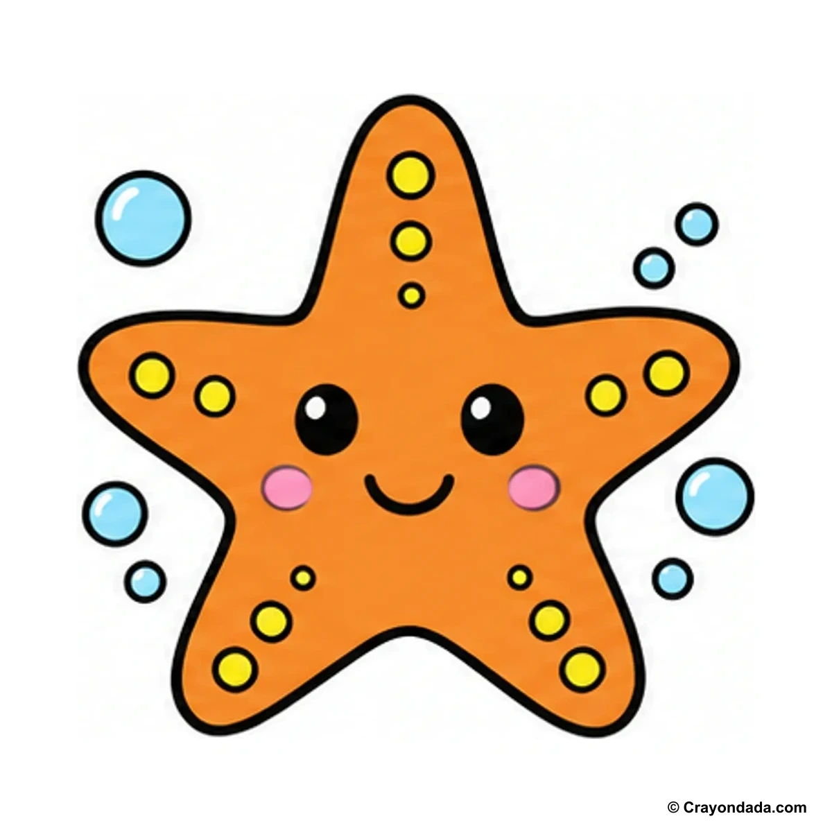 How to Draw a Starfish finished drawing