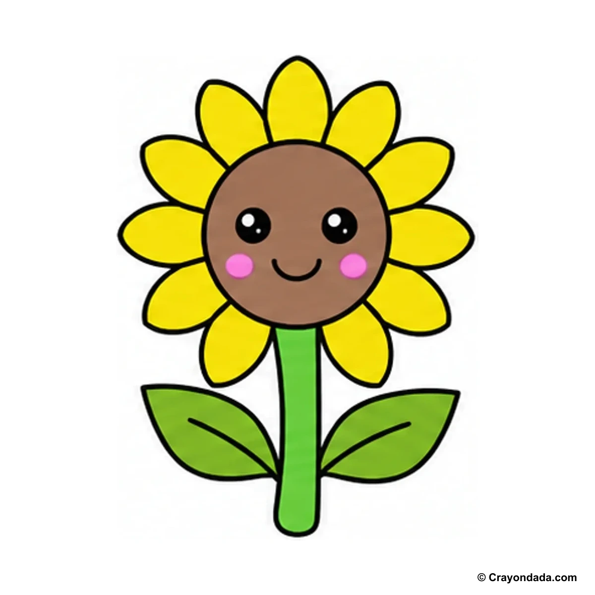 How to Draw a Sunflower finished drawing