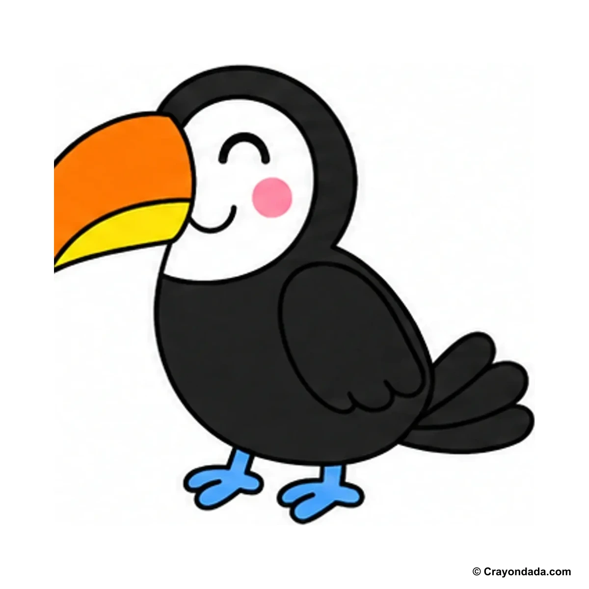 How to Draw a Toucan finished drawing
