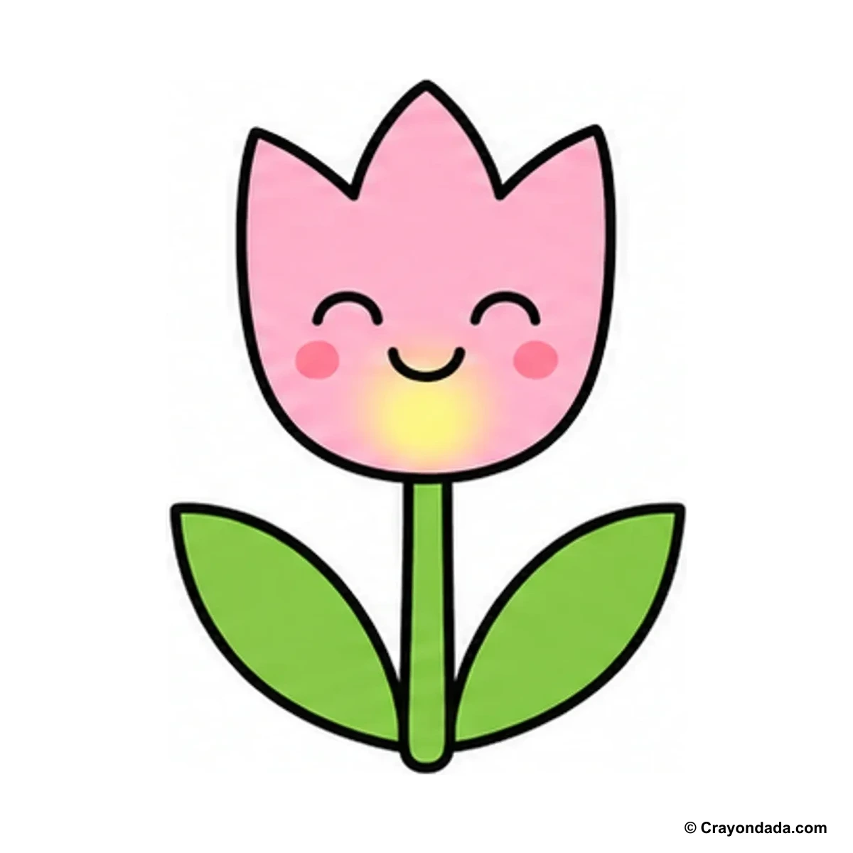 How to Draw a Tulip finished drawing