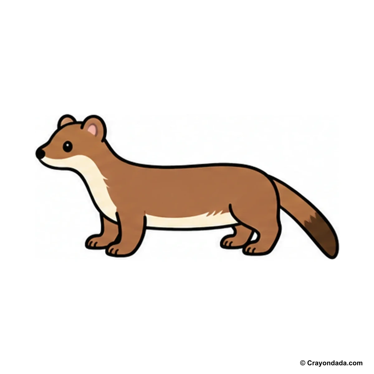 How to Draw a Weasel finished drawing