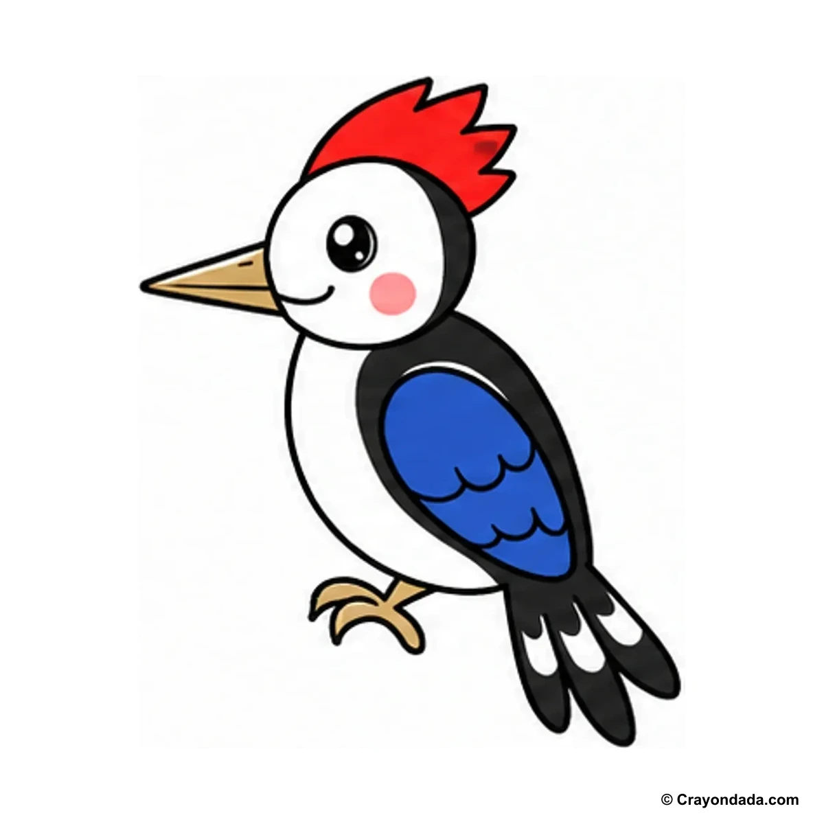 How to Draw a Woodpecker finished drawing