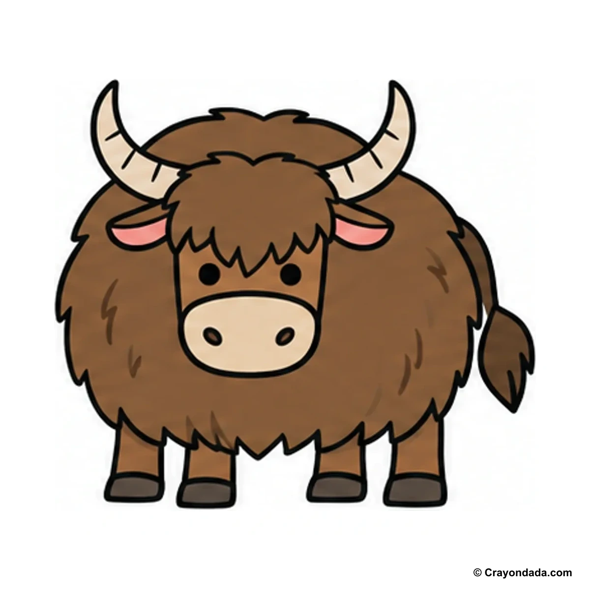 How to Draw a Yak finished drawing