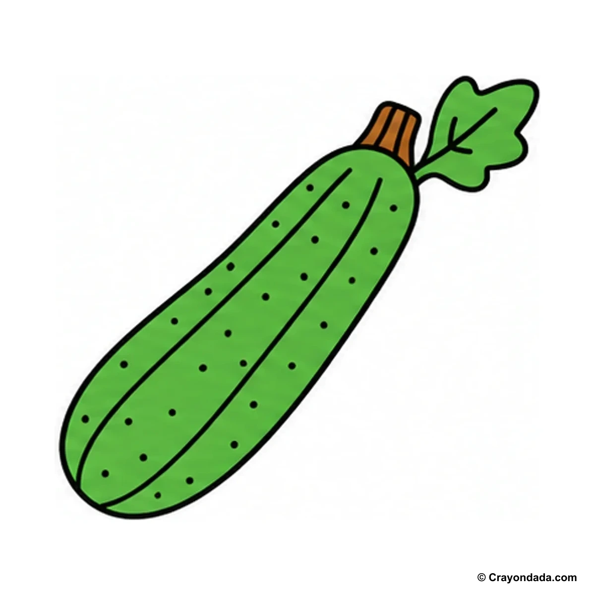 How to Draw a Zucchini finished drawing